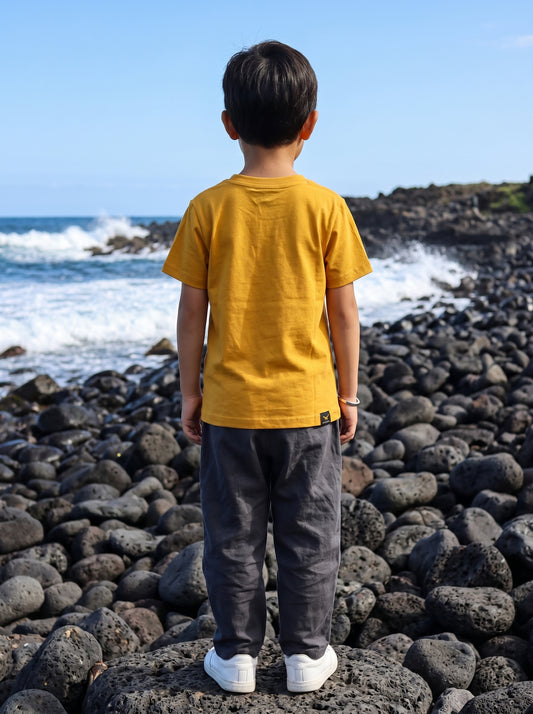 Boys Printed Short Sleeve T-Shirt